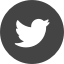 Twitter logo icon